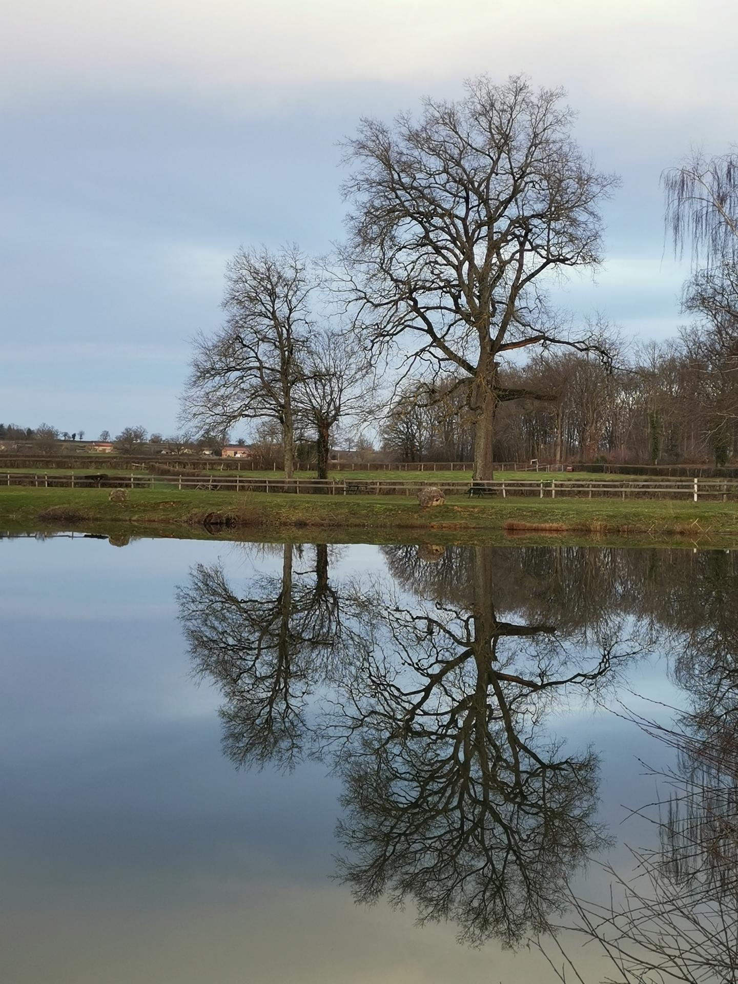 Etang de Beauvernay (Vauban)